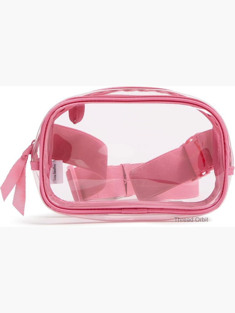 Small Clear Belt Bag Sling Crossbody